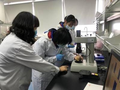 打造內陸開放新高地 四川在‘一帶一路’中的高質量發展與科研創新